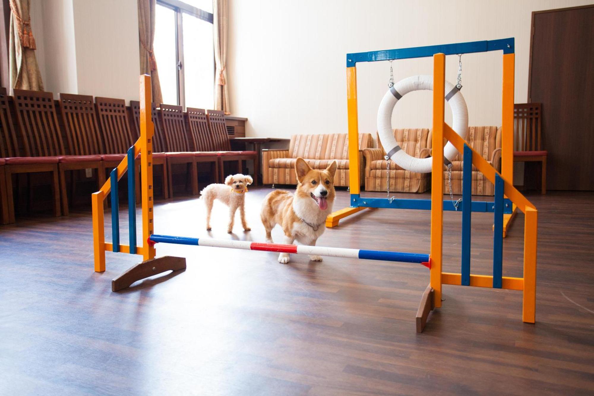 Izumigo Takayama Dog Paradise Hotel Екстер'єр фото